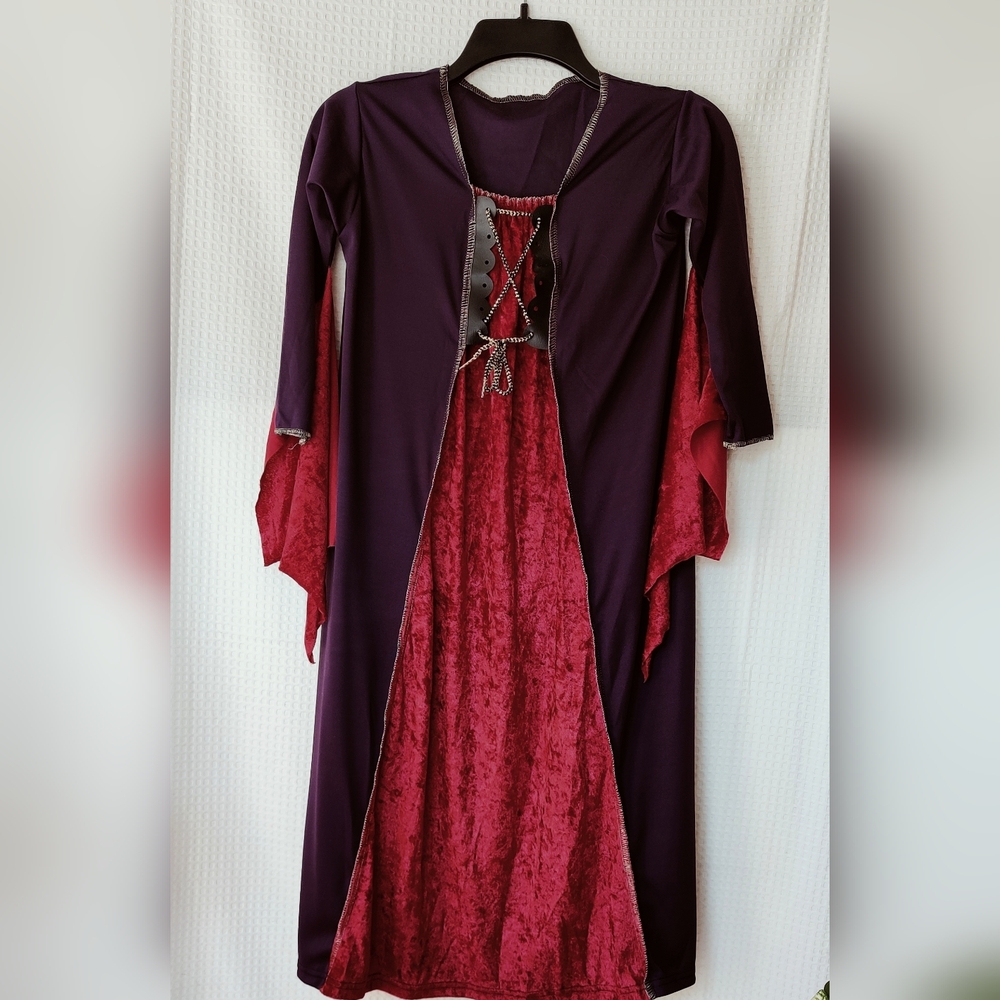 Rubies Costume Co. Inc Purple and Red Medieval/Gothic Princess Dress Size Medium
